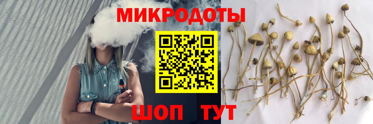Галлюциногенные грибы ЛСД  Вход с VPN  Псилоцибиновые грибы прущие грибы  Алапаевск 